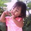 allabout.dewii