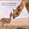 user10322173560190