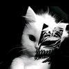 follow_guys_ya