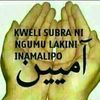 user3126951430628