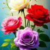phmthanh8813