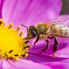 beemom72