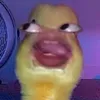 kingkon482