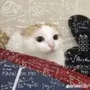 hwi.hann