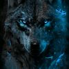 wolf85550