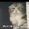 thylinh554