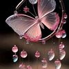 roshnifalak23.5