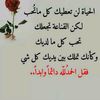 user8033543088443