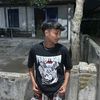 celeng_pino