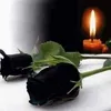horvath_th8