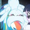 dash.twii