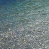 fishy_st