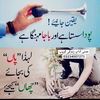 tariqjaved3486