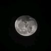 haziq_wzf