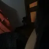 hiba74.1