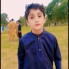 shayan.khan2034