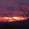 paderjosep