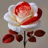 user2171291973200