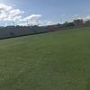 zarate_89_