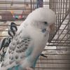 fatma.cengiz06
