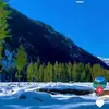 faisal.rajpoot387