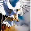 white.eagle03