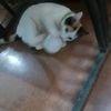 nanda_paola.go_