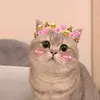 hawra.hawra15