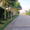 ayu.inda84