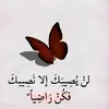 user4246749748136