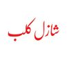 shazil.club