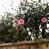 mina.hafidi7