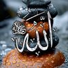 ashraftohamy222