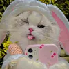 miusha_florest