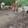 juan_avila2000