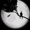 nabeelahmed927