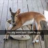 thecrazykid13