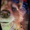 meemawhyper