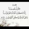 ayatmohammed978