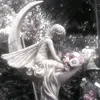 raoan_111