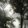 dashaa_644