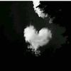 user3222159881753