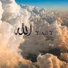 user5830146151090
