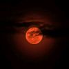lunar.5948