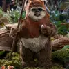 ewokthatmakegoodchilli