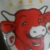 ayuob59273288183hj