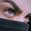 zho_or93