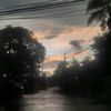 onlywithdhoo