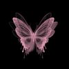 serafina0479