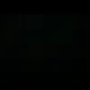 shin_lupit